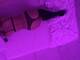 Private Photo of boons
