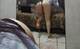 Private Photo of Elektra_girl1986