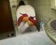 Private Photo of Culo_Tondo