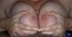 Private Photo of compagniabollente