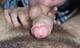 Private Photo of compagniabollente
